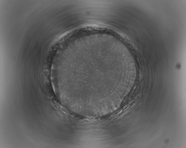 X0000116780822201001281652