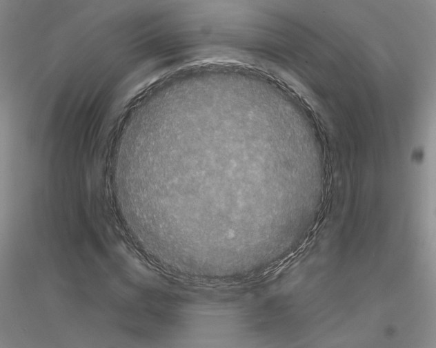 X0000116780824201001281652