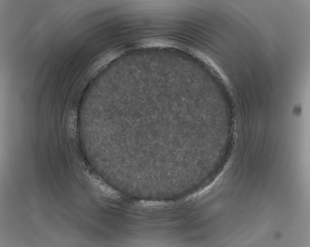 X0000116780825201001281652