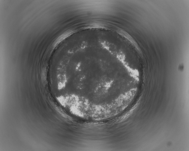 X0000116780826201001281652