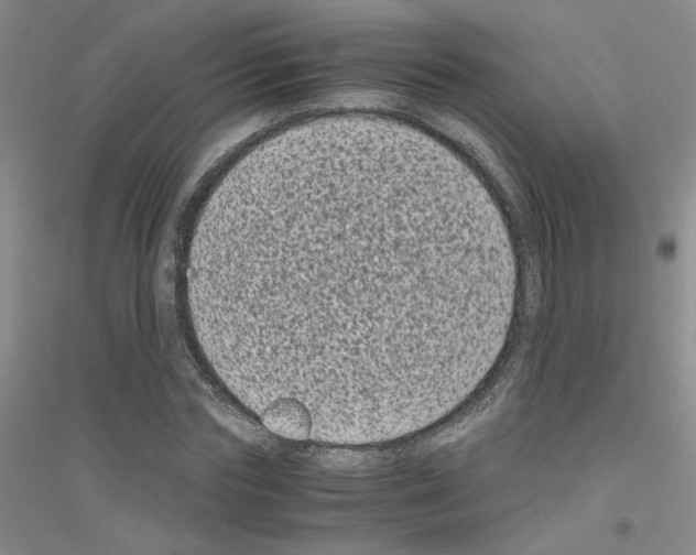 X0000116780827201001281652