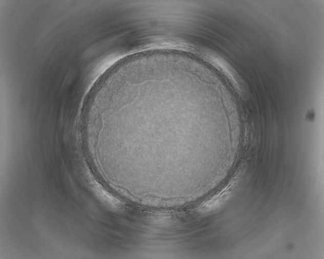 X0000116780828201001281652