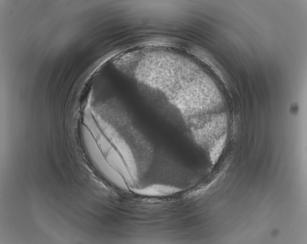 X0000116780829201001281652