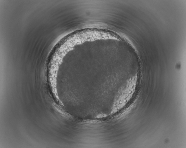 X0000116780830201001281652