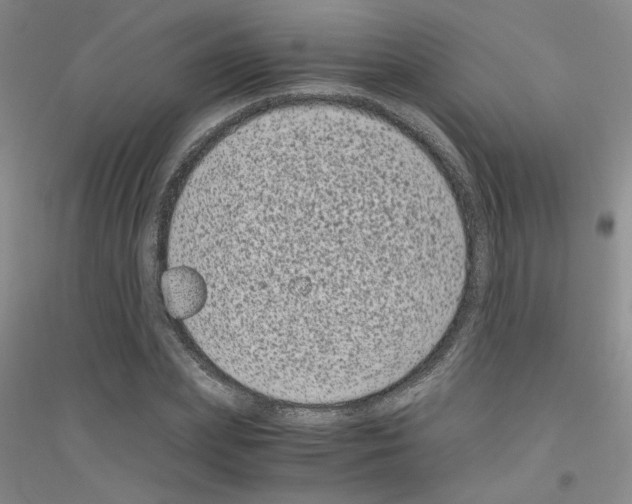 X0000116780831201001281652