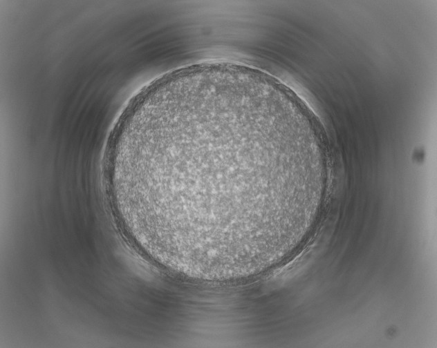 X0000116780832201001281652