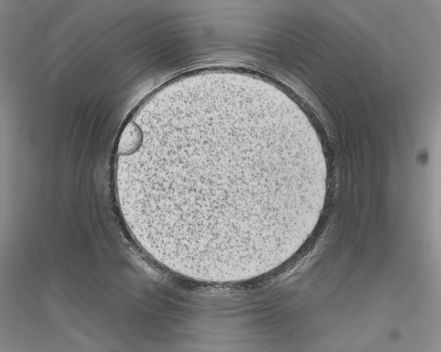 X0000116780834201001281652