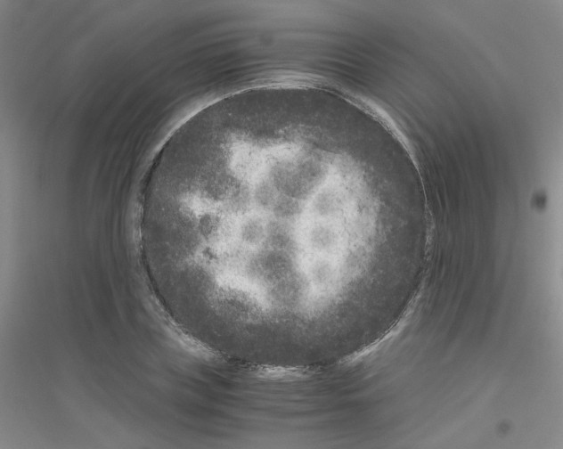 X0000116780835201001281652