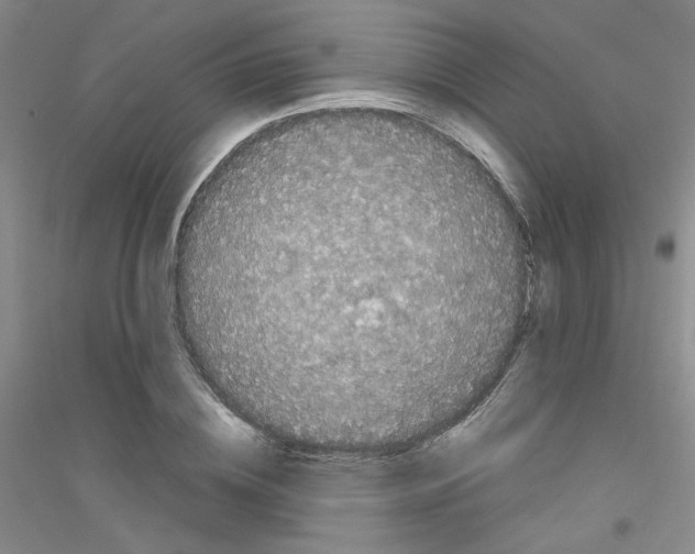 X0000116780836201001281652