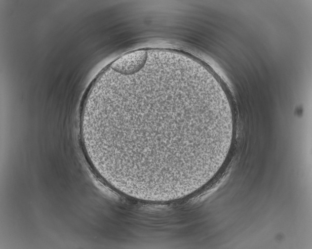 X0000116780837201001281652