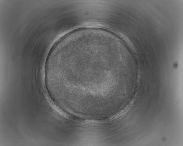 X0000116780840201001281652