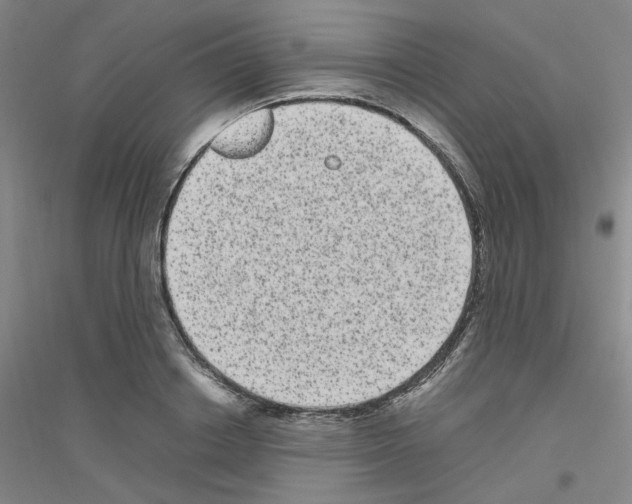 X0000116780842201001281652