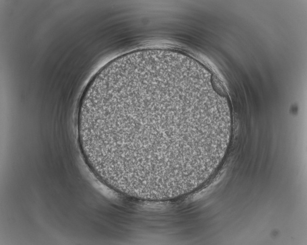 X0000116780843201001281652