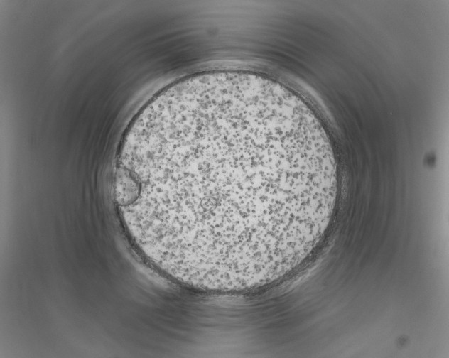 X0000116780844201001281652