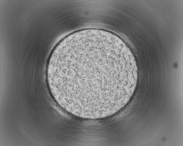 X0000116780846201001281652