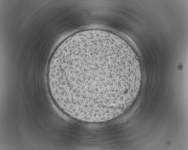 X0000116780847201001281652