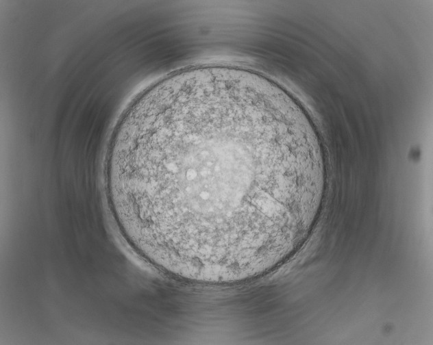 X0000116780848201001281652