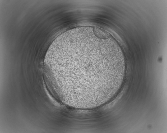 X0000116780849201001281652