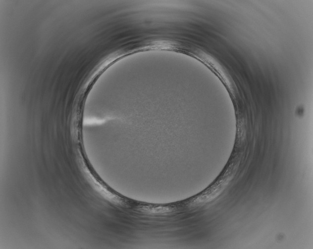 X0000116780851201001281652