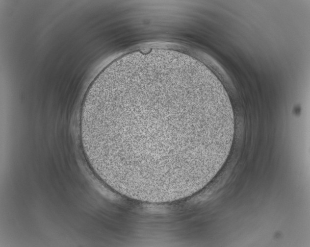 X0000116780852201001281652