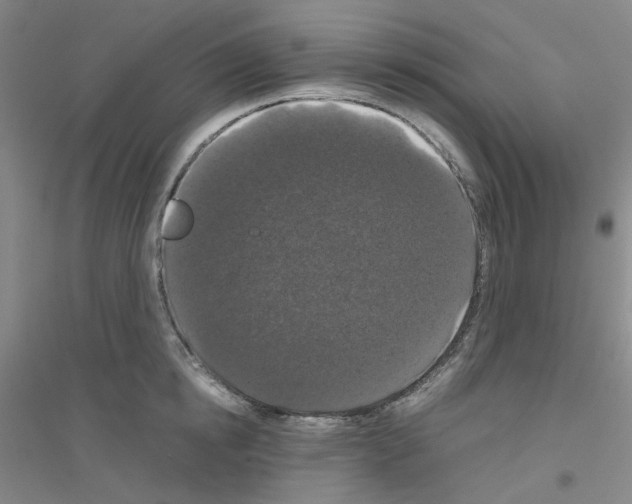 X0000116780854201001281652