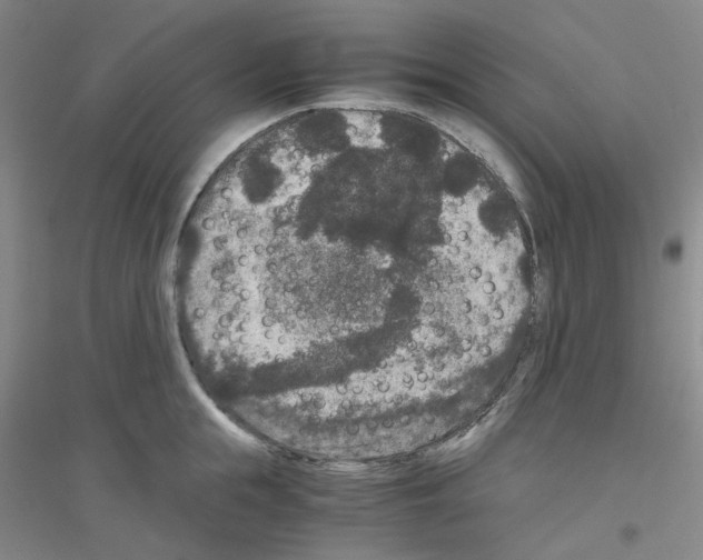 X0000116780855201001281652