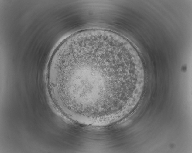 X0000116780856201001281652