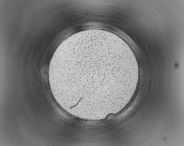 X0000116780857201001281652