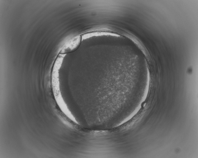 X0000116780858201001281652