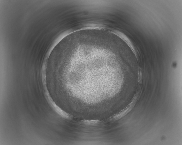 X0000116780859201001281652