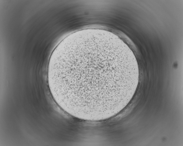 X0000116780860201001281652