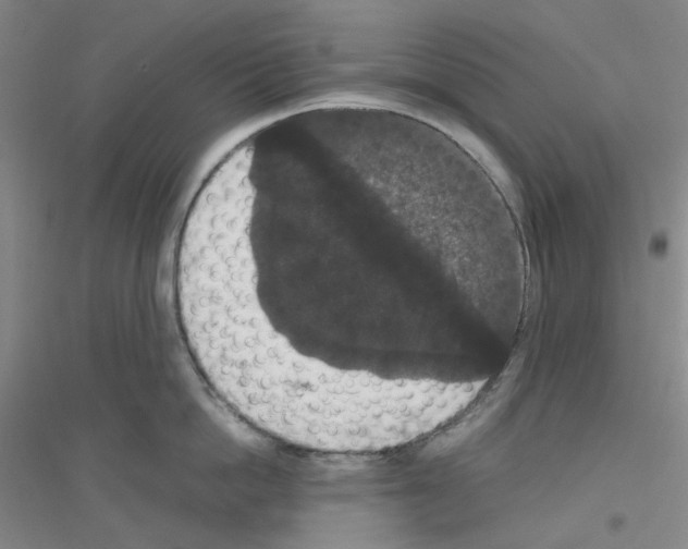 X0000116780862201001281652