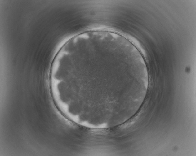 X0000116780863201001281653