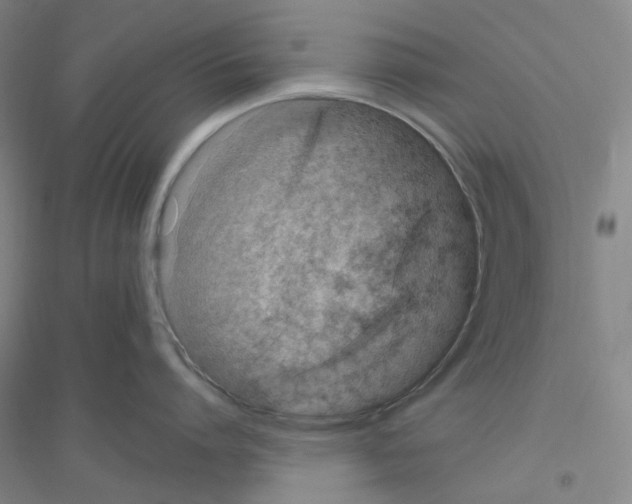 X0000116780864201001281653