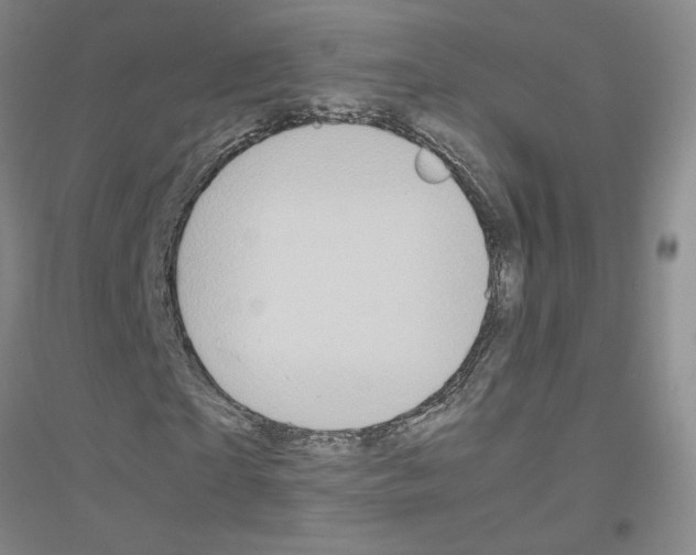 X0000116780865201001281652