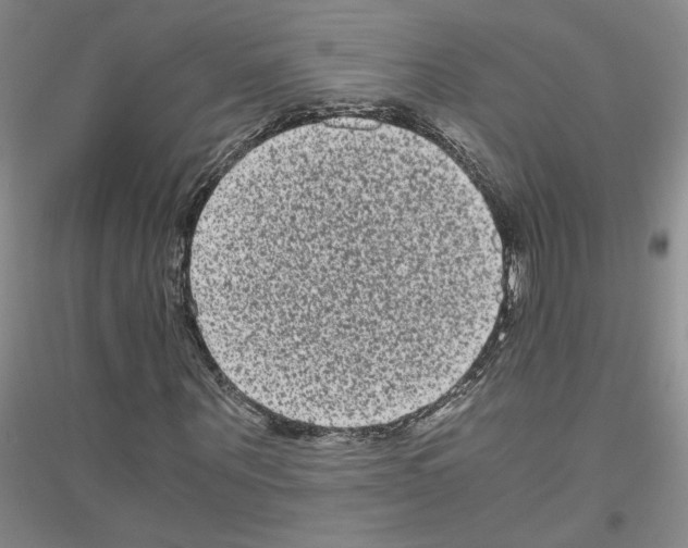 X0000116780867201001281652