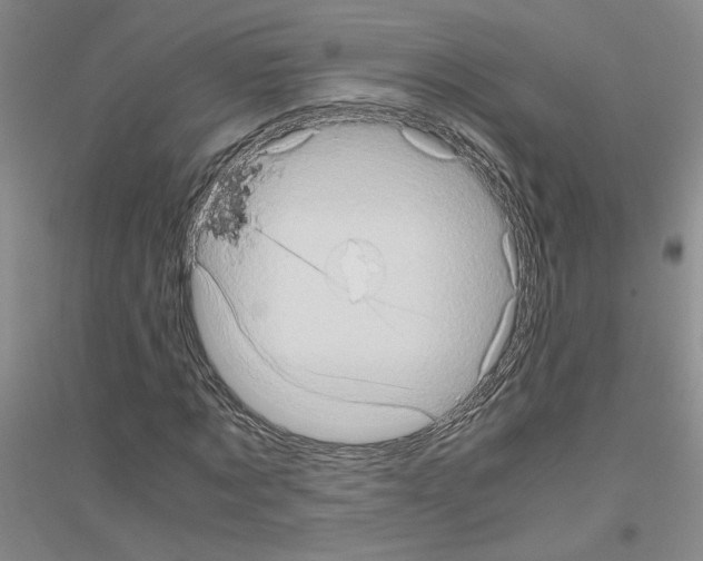 X0000116780869201001281652