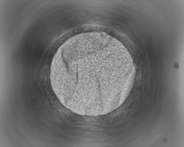 X0000116780870201001281652