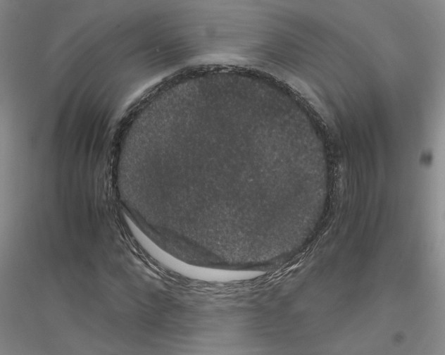 X0000116780872201001281652