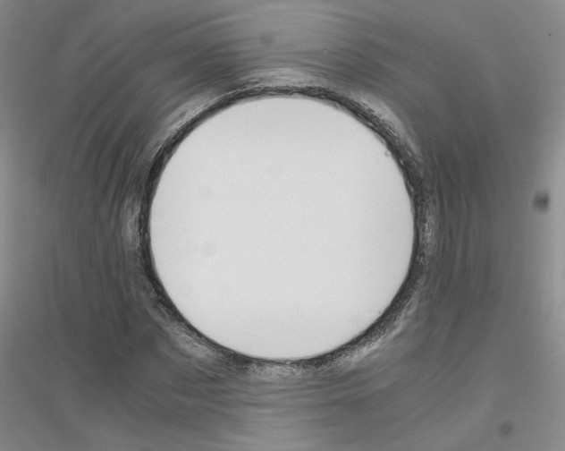 X0000116780873201001281652