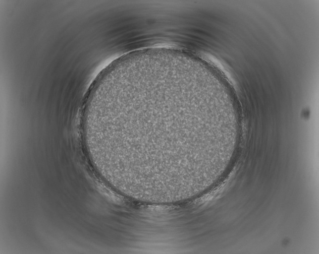 X0000116780875201001281652