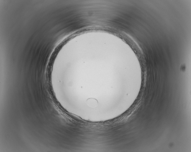 X0000116780876201001281652