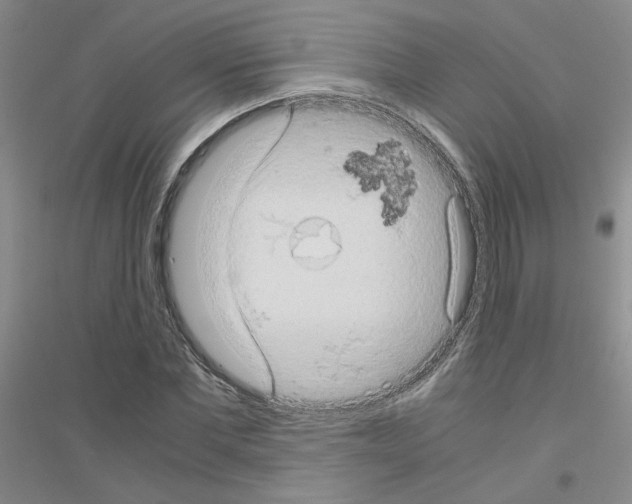 X0000116780877201001281652