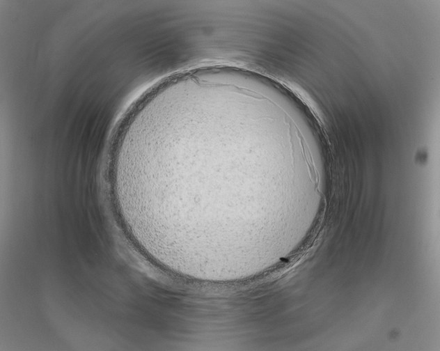 X0000116780878201001281652