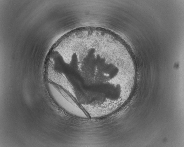 X0000116780879201001281652