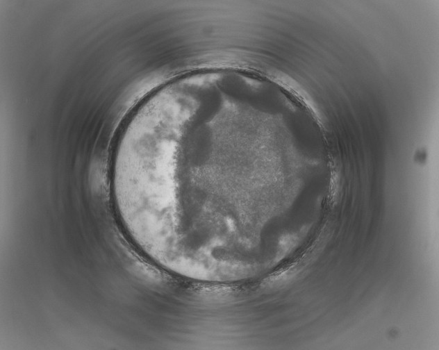 X0000116780882201001281652