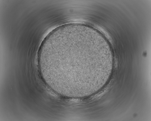 X0000116780883201001281652