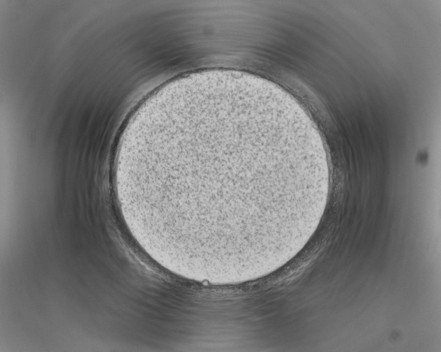 X0000116780884201001281652