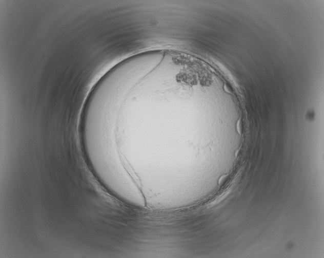 X0000116780885201001281652