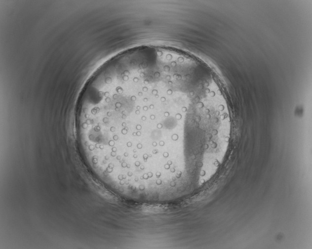 X0000116780887201001281652